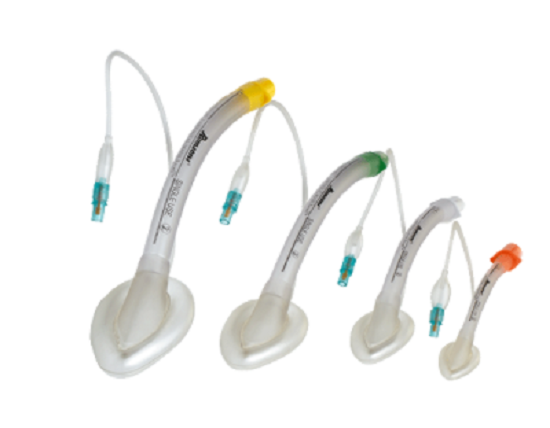 Vital Signs Value Laryngeal Mask