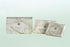 Lagasse Dial Antibacterial Soap Bar 2.5 oz. Individually Wrapped Scented - DIA00197