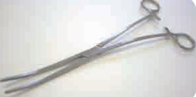 Bioteque Dressing Forceps Bozeman 10 Inch Curved - FC206