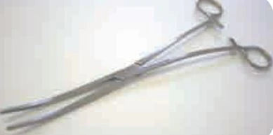 Bioteque - Dressing Forceps Bozeman 10 Inch Length Curved - FC206