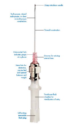 Smiths Medical Cathlon Peripheral IV Catheter 20 Gauge 1-1/4 Inch Without Safety - 442611