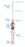 Cathlon - Peripheral IV Catheter 20 Gauge 1.25 Inch Without Safety - 442611