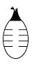 J-Vac - Bulb Evacuator Drainage 100 mL - 2160
