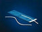 Ivalon - Ophthalmic Drain Tube PVA - Q604203