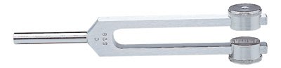 Graham-Field Tuning Fork with Fixed weight Aluminum Alloy 256 cps - 1315