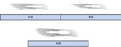 Feather - Scalpel Conventional No. 10 Stainless Steel / Plastic Classic Grip Handle Sterile Disposable - 2975#10