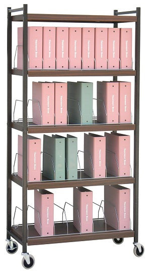 Omnimed Economy Open Style Chart Racks (Wired Dividers) Woodgrain