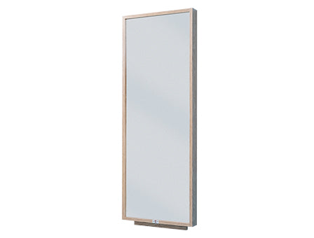 Hausmann Wall Mounted Mirror - 24" x 4" x 66", - 1672