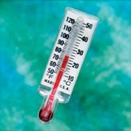 Teleflex Medical Thermometer - 1635