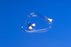 Argyle Ez-Flo - Extension Set 20 Inch Tubing Polycarbonate Tubing - 155922