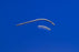 Medtronic MITG - Trocar - 8888415679