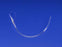 Argyle - Vent Catheter 14 Fr. Style 20 Inch Length - 8888590208