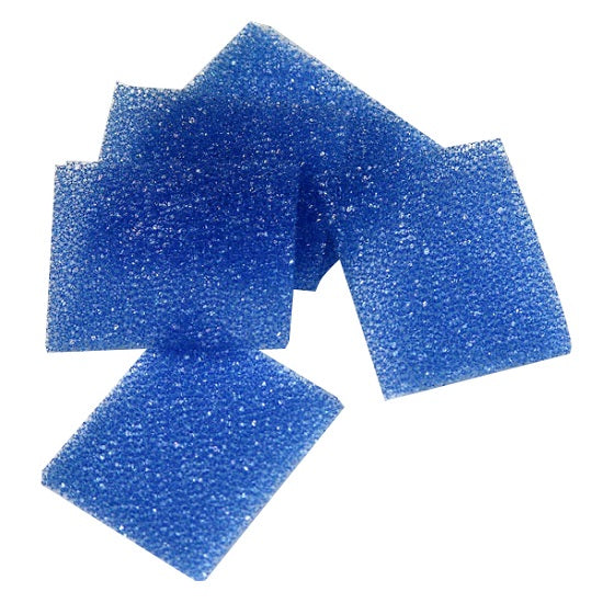 Sponges