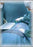 Koslin - Orthopedic Drape TMJ Bi-Lateral Drape Body Drape: 77 X 78 Inch, Head Drapes: 77 X 55-1/2 Inch - 3983