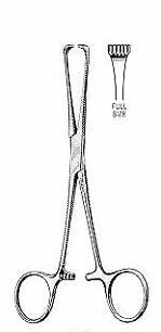 Miltex - Tissue Forceps Boys-Allis 6 Inch Length OR Grade German Stainless Steel NonSterile Ratchet Lock Finger Ring Handle Straight Heavy 5 X 6 Teeth - 16-31