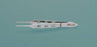 MeisterHand - Tissue Forceps Bishop-Harmon 3-3/8 Inch Length Surgical Grade German Stainless Steel NonSterile NonLocking Fenestrated Thumb Handle Straight 1 X 2 Teeth - MH18-868