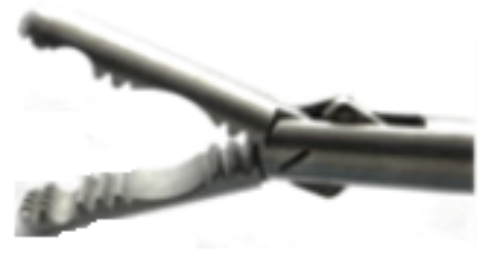 Forceps Dual Cup