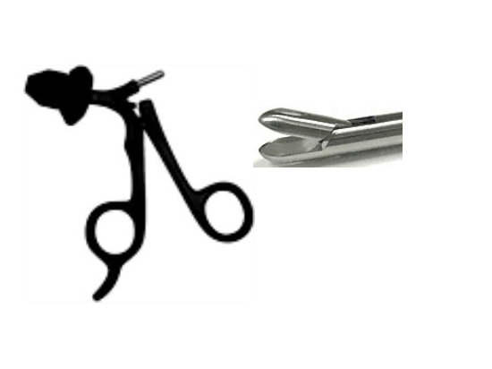 Biopsy Forceps