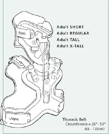 Aspen Medical Products Aspen Cervico Thoracic Brace Adult Regular - 983310