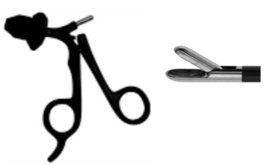 Biopsy Spoon Forceps