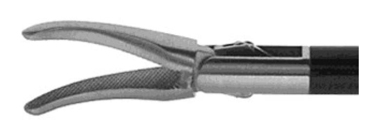 Maryland Dissector