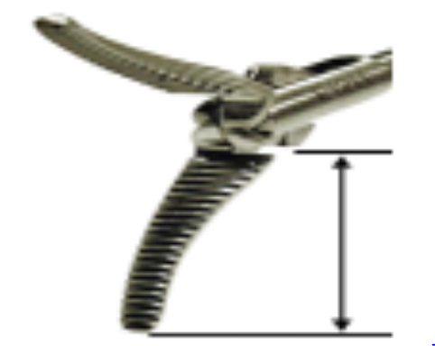 Maryland Dissector