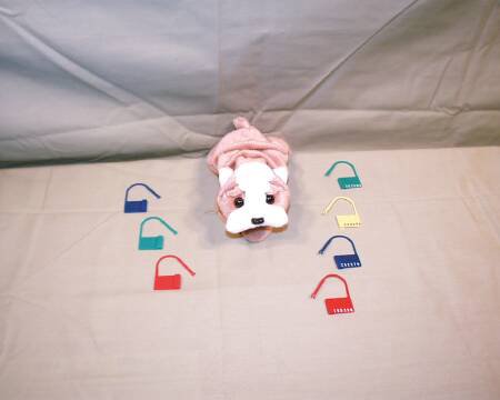 Healthmark Industries Cynch-Loks Tamper Evident Seal Numbered White Plastic 6 Inch - 6323 WT