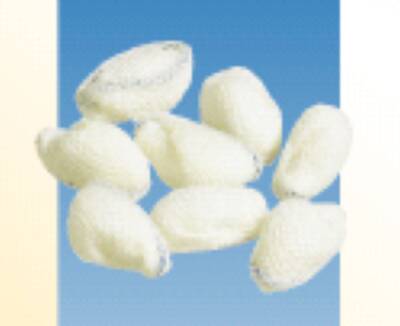 Dukal Tonsil Sponge Cotton 3/8 Inch Sterile - 10660