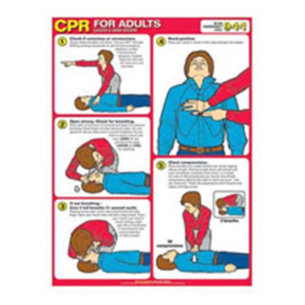 Cpr Table Wolters Kluwer Health Inc Chart First Aid Cpr For Adults 18X24