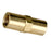 Brass Check Valve