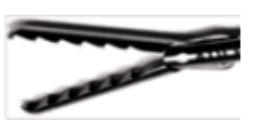 Alligator Grasper