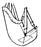 Hoyer - Seat Commode Sling 2 Point With Head Support Chain One Size Fits Most 400 lbs. Weight Capacity - 111-D