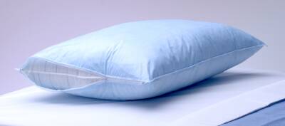 Tech Styles a Division of Encompass TechStyles Pillow Protector Blue Disposable - 50203