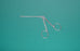 Miltex - Biopsy Forceps Hartmann-Herzfeld 3 Inch Length OR Grade German Stainless Steel NonSterile NonLocking Finger Ring Handle Straight Round Cup Tip - 19-429