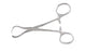 Miltex - Towel Clamp Lorna 5-1/4 Inch Length Stainless Steel - 7-515