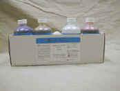 Troy Biologicals - Gram Stain Set 4 X 250 mL - VGK400