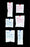 Cardinal T-Pak Instant Cold Pack General Purpose 6 X 9 Inch Vinyl Disposable - 11440-900