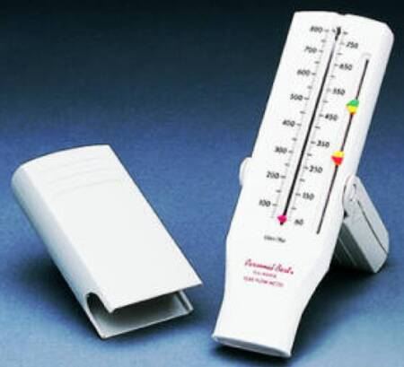 Respironics Personal Best Low Range Peak Flowmeter 5 LPM Increment - HS756-012
