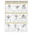 Human Kinetics Poster Instructional Strength Training For The Back 24X31" Ea - 736059326
