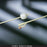 Bardex I.C. - Foley Catheter 2-Way Standard Tip 5 cc Balloon 14 Fr. Silver Hydrogel Coated Latex - 0165SI14