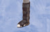 Deroyal - Ankle Walker Boot DeRoyal X-Large Hook and Loop Closure Male 12-1/2 and Up / Female 13-1/2 and Up Left or Right Foot - SL8001-09