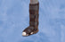 Deroyal Ankle Walker Boot  X-Large Hook And Loop Closure Male 12-1/2 And Up / Female 13-1/2 And Up Left Or Right Foot - SL8001-09