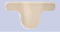 BSN Medical Coverlet Adhesive Strip 1-3/8 X 2-1/2 Inch Fabric Toe Tan NonSterile - 801
