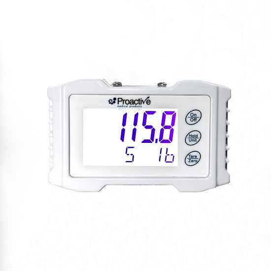 Digital Scale