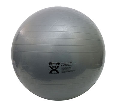 Fabrication Enterprises Inflatable Exercise Ball Cando Silver 4 Lbs. - 30-1875