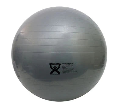 CanDo - Inflatable Exercise Ball Silver 4 lbs. - 30-1875