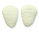 Ankle, Foot and Toe