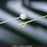 Bardex I.C. - Foley Catheter 2-Way Standard Tip 5 cc Balloon 30 Fr. Silver Hydrogel Coated Latex - 0165SI30