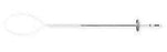 Covidien Suture without Needle Plain Gut Absorbable Uncoated Size 2 - 0 60 Inch Suture - G203