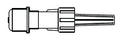 Injection Site